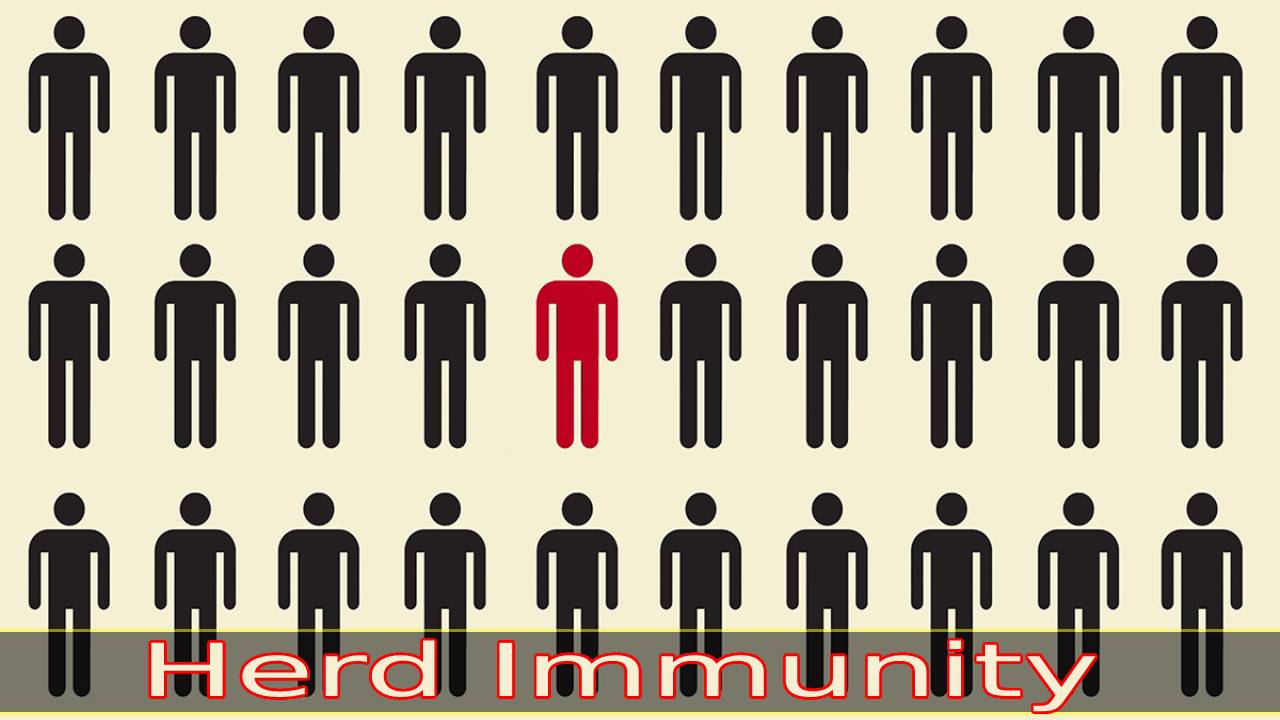 Everything About Herd Immunity