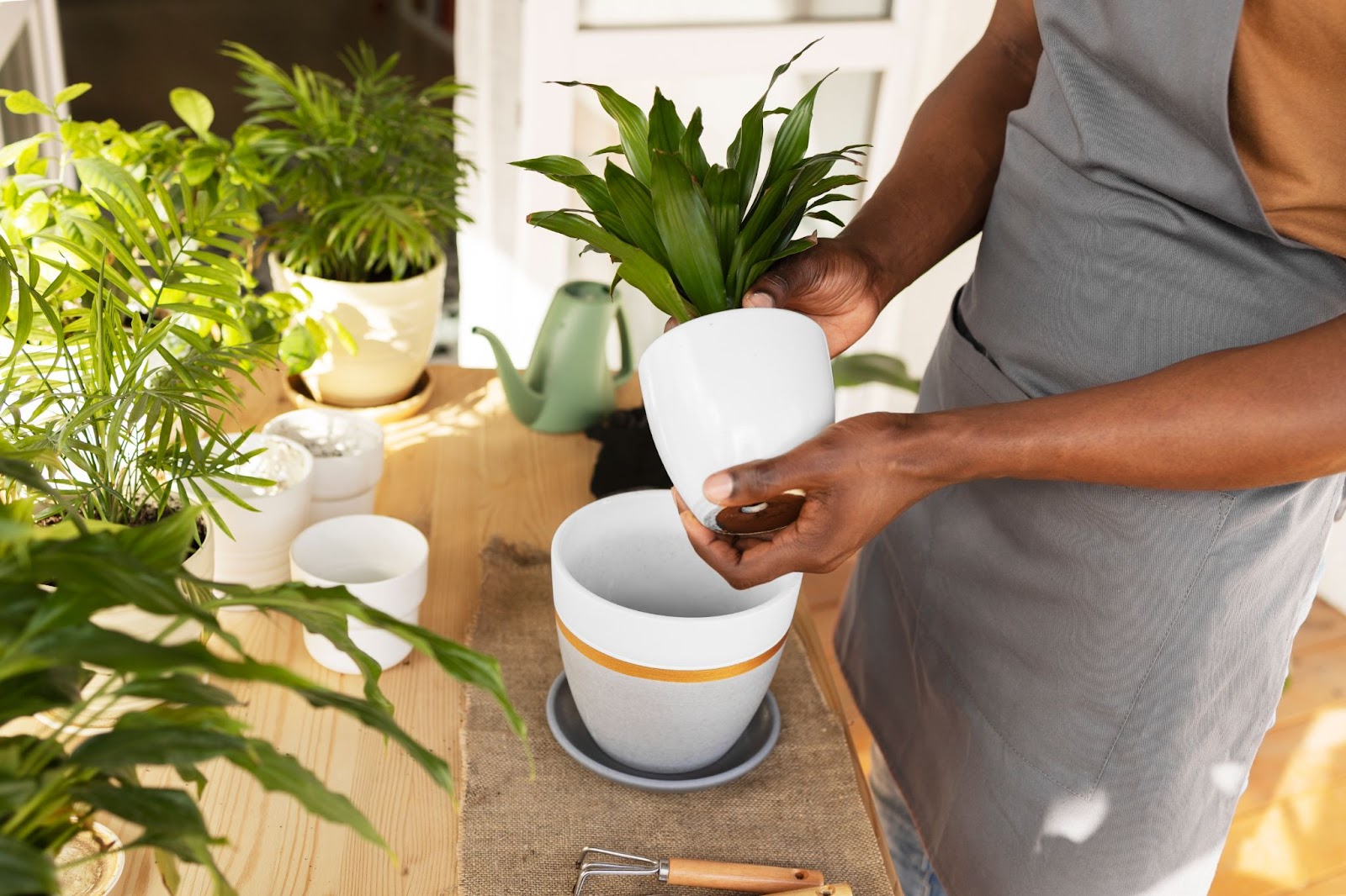 How to Care and Maintain for Your Ceramic Planters